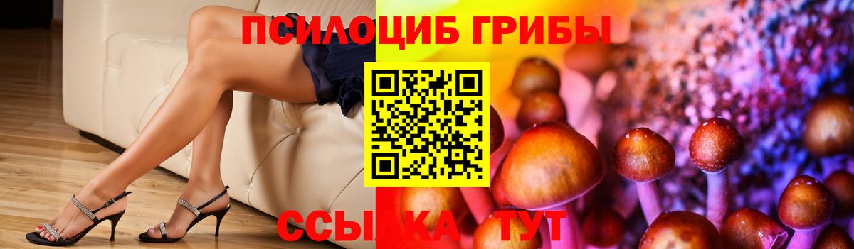 Галлюциногенные грибы Cubensis Выкса